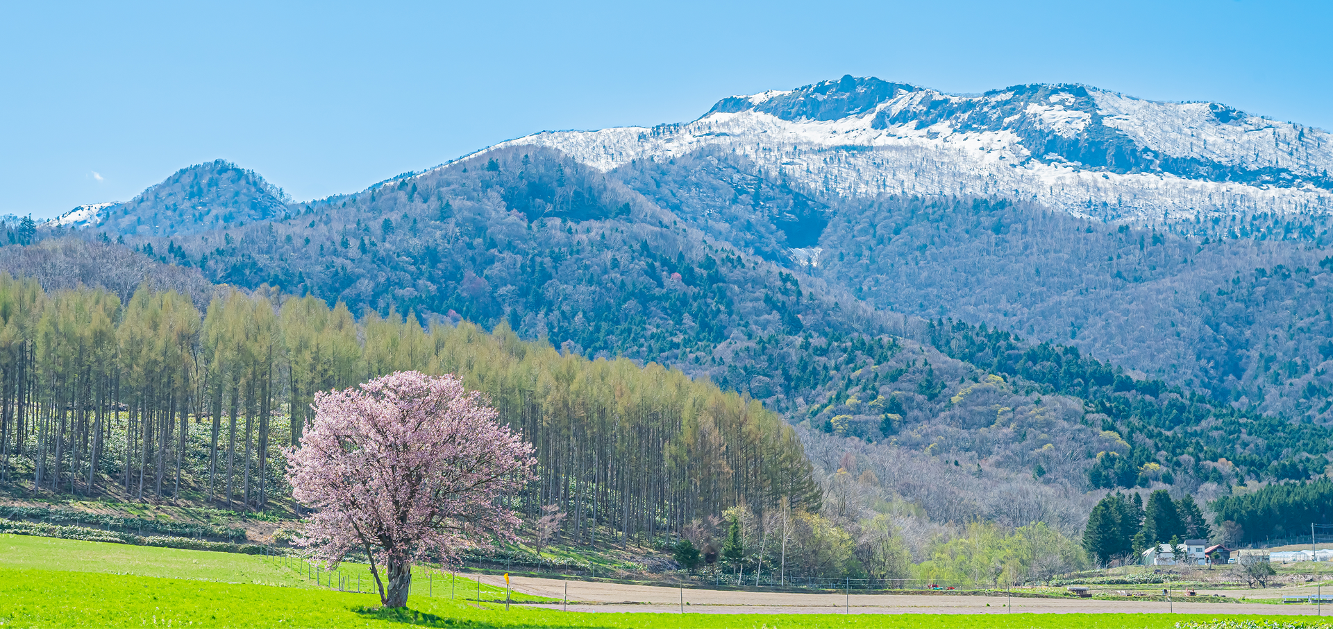 About I Love Hokkaido